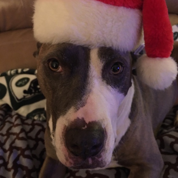 Meet your Posher, Janet - Picture 3 of 3